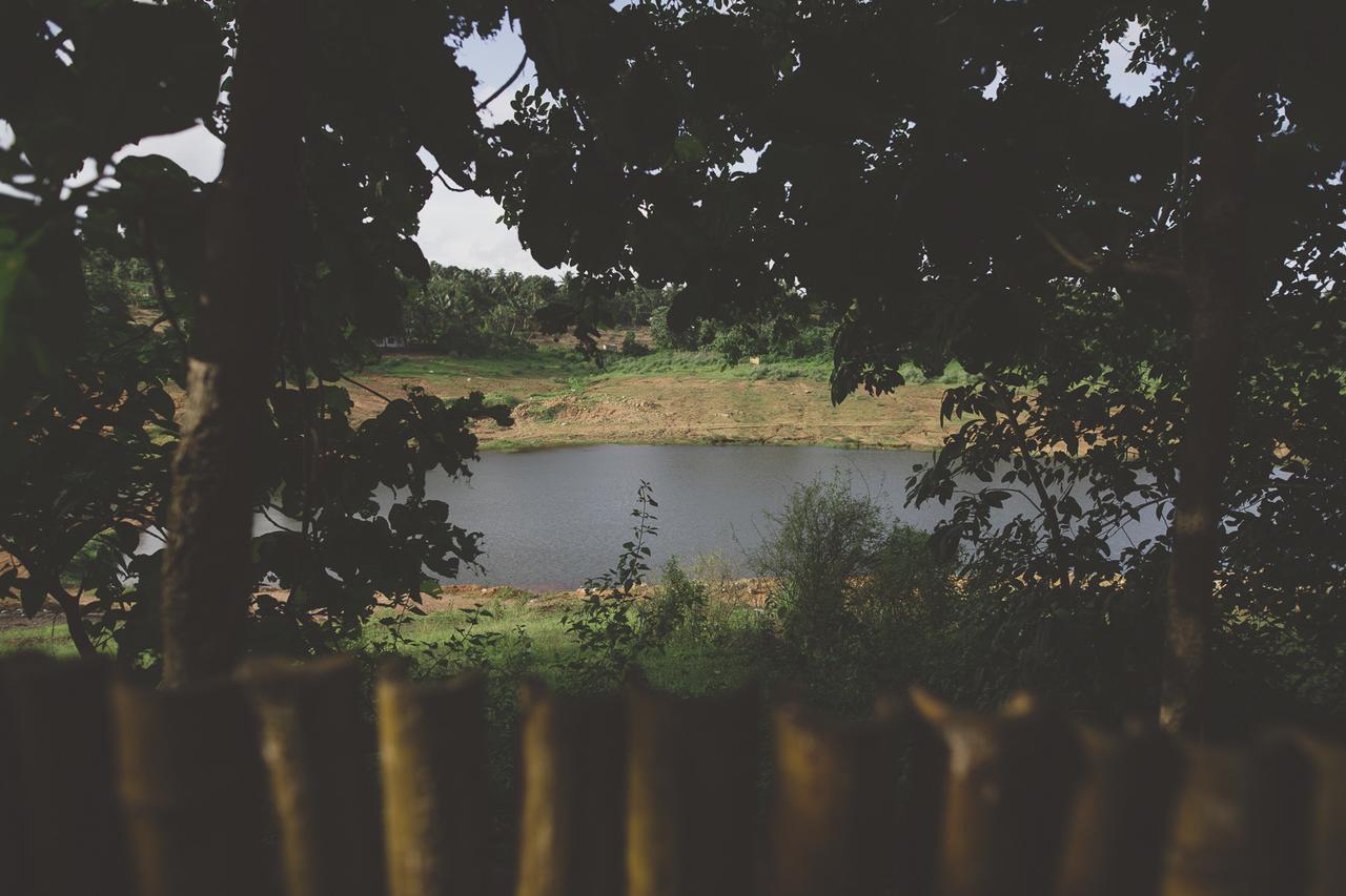Riverine Springs Wadakkanchery Dış mekan fotoğraf