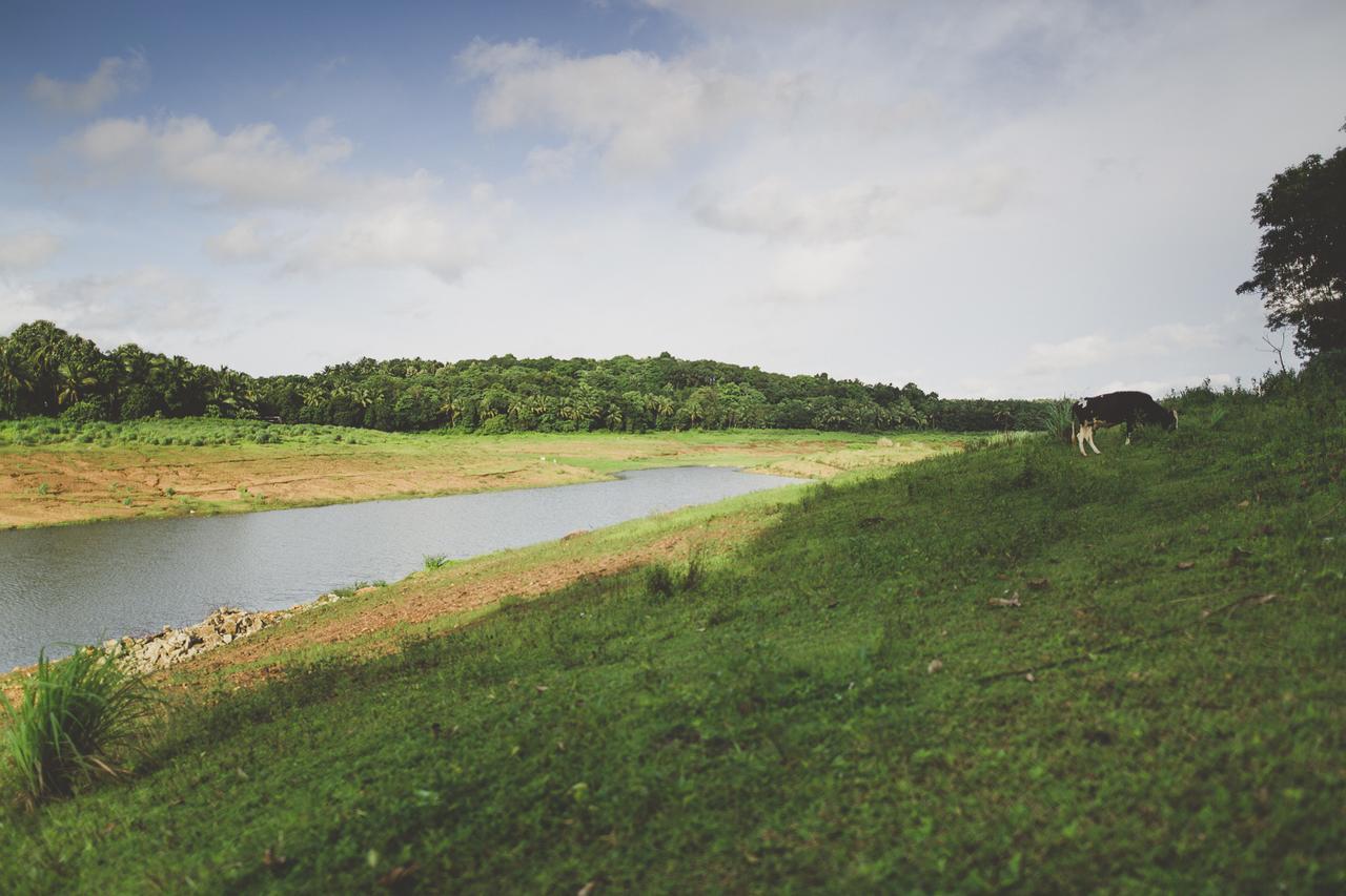 Riverine Springs Wadakkanchery Dış mekan fotoğraf